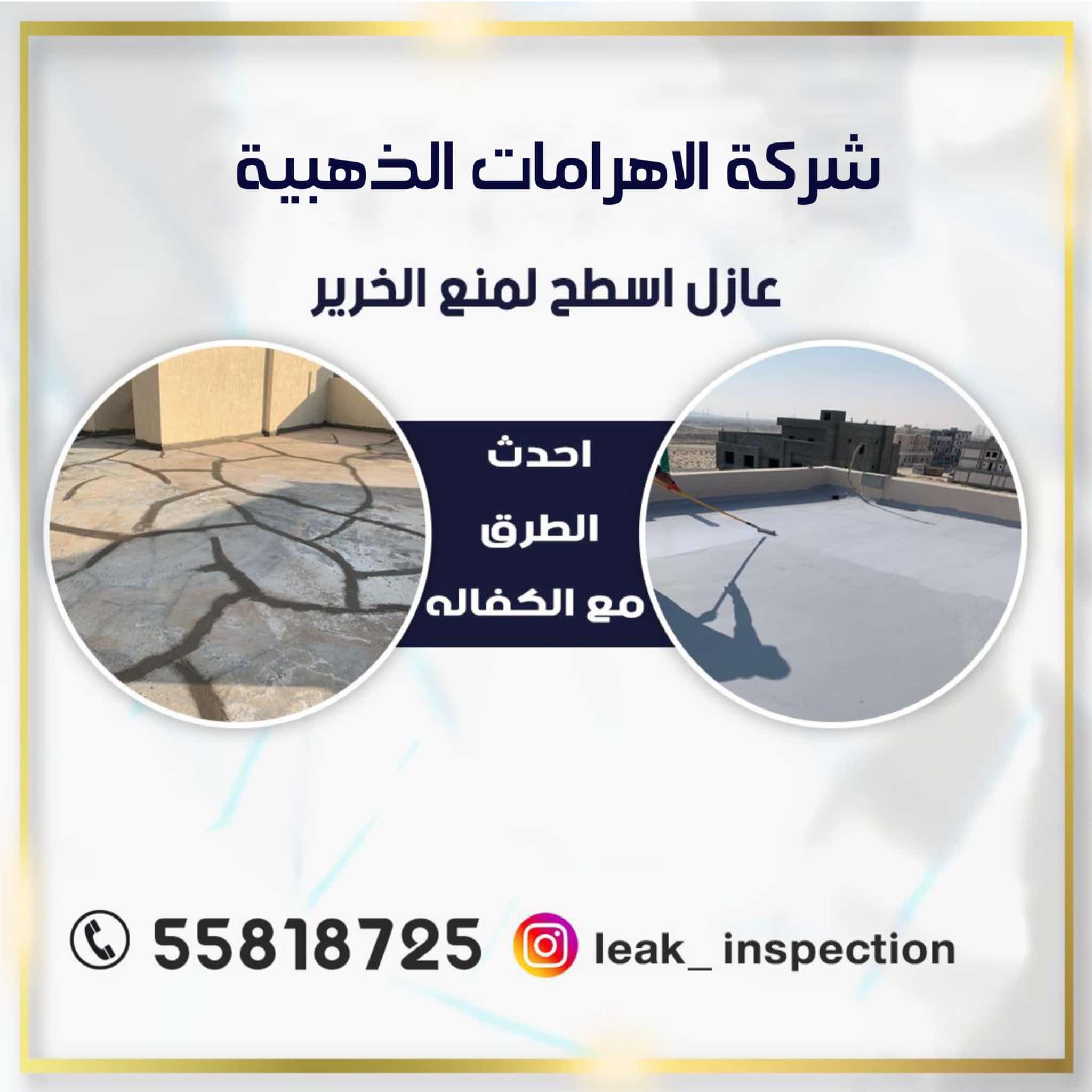 whatsapp image 2025 11 03 at 12.57.56 am